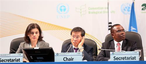 Special Session on Implementation of the Protocol IISD (http://www.iisd.ca/biodiv/bs-copmop7/29sep.html)