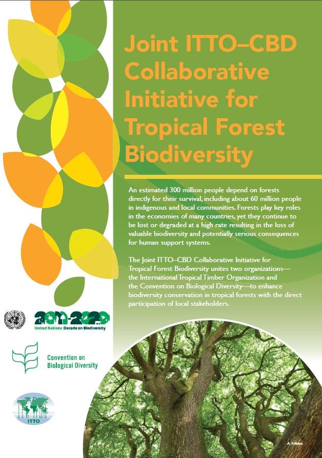 Joint ITTO–CBD Collaborative Initiative for Tropical Forest Biodiversity