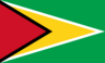 Country flag of Guyana