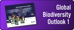 Global Biodiversity Outlook 1