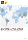  The Top 100 Externalities of Businesses by the Natural Capital Coalition