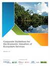  Corporate Guidelines for the Economic Valuation of Ecosystem Services
Gvces - Center for Sustainability Studies of Getulio Vargas Foundation