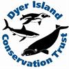 Dyer Island Conservation Trust