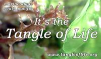 Tangle of Life