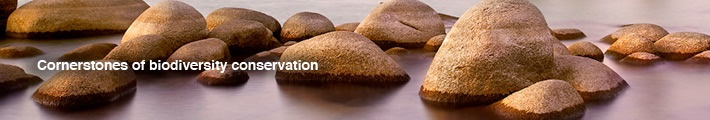 Cornerstones of biodiversity conservation