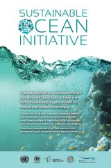 Sustainable Ocean Initiative