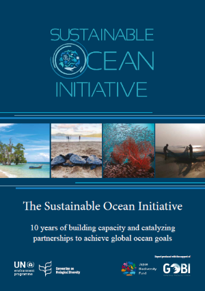 The Sustainable Ocean Initiative